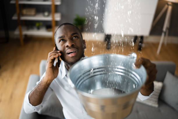 Best Mold removal after water damage  in Greentown, IN