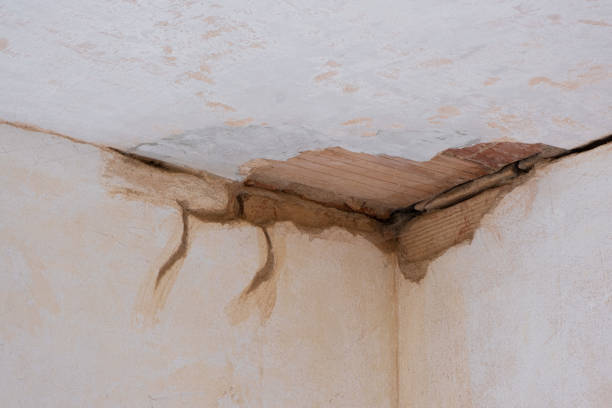 Best Flood restoration services  in Greentown, IN