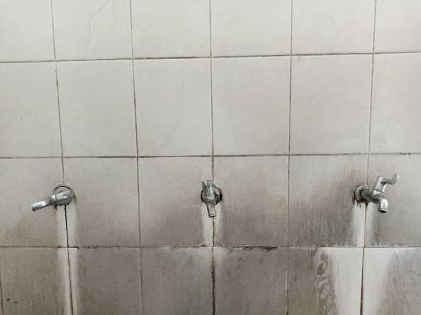 Best Ceiling water damage repair  in Greentown, IN